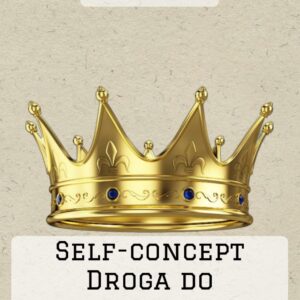 kurs online self concept droga do speŁnienia marzeŃ